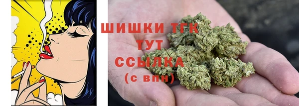 хмурый Аркадак