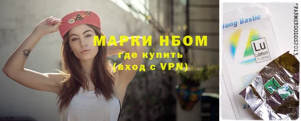 хмурый Аркадак