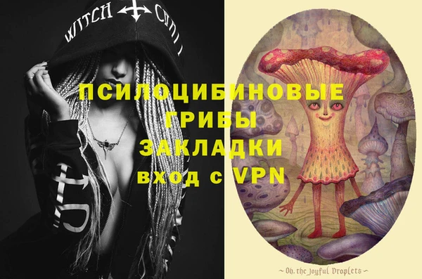 хмурый Аркадак
