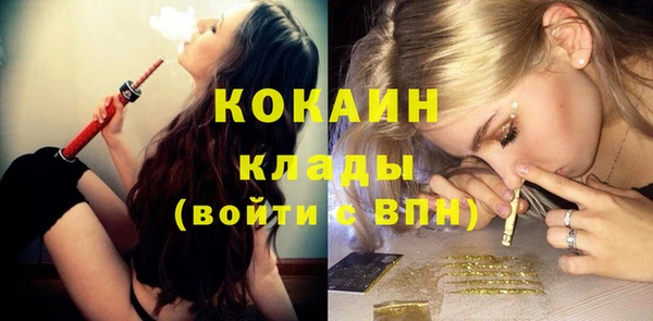 хмурый Аркадак