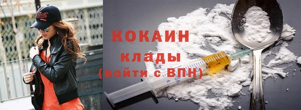 хмурый Аркадак