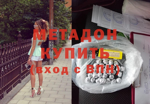 хмурый Аркадак