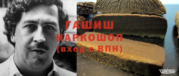 хмурый Аркадак