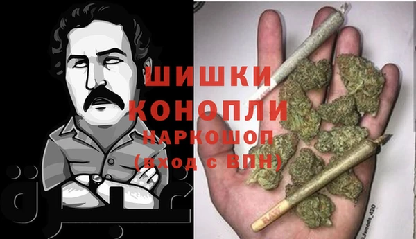 хмурый Аркадак