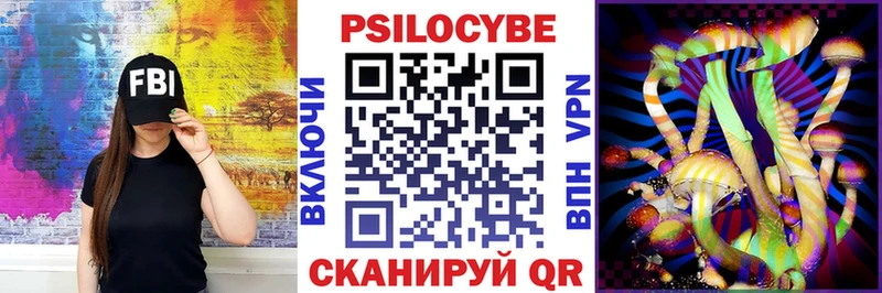 где найти наркотики  Артёмовск  Псилоцибиновые грибы ЛСД 